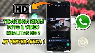 Download lagu Penjelasan Mengapa Tidak Bisa Kirim Foto & Video Dengan Kualitas HD Di WhatsApp mp3