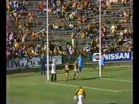 VFL R16 1984 Highlights