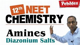 NEET 12th Chemistry || Amines || Diazonium Salts || Lesson-27