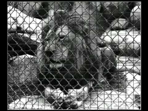 Ragga One - Добре Дошъл В България // Dobre Doshul V Bulgariq