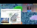 James Surmeier  - Alzheimer's Global Summit - XI CIBERNED SCIENTIFIC FORUM 21/09/2017