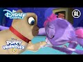 Puppy Vriendjes | Het lievelingsspeeltje | Disney Channel NL