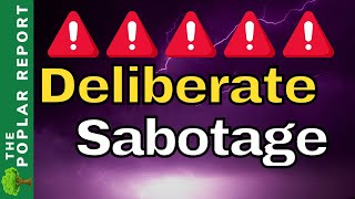 Download lagu 🚨🚨Alert!: ”Act Of WAR” - & Watchmen Updates mp3