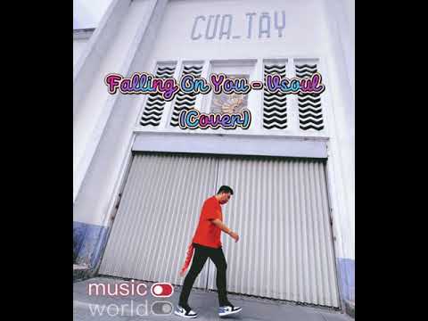 Falling on you - H$ Vsoul (BigD Cover) Prod. by COLD MELODY