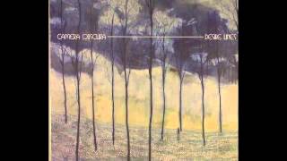 Camera Obscura - This Is Love (Feels Alright)