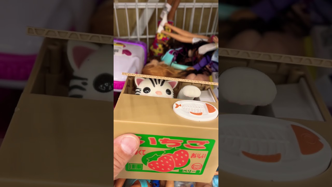 Naughty cat in the box coinbank