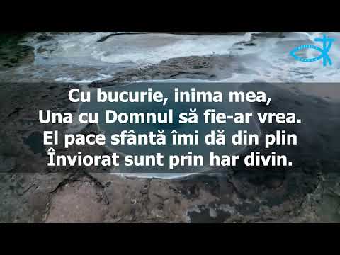 CE BUCURIE AM ÎN ISUS – Biserica Creștină Baptistă SHALOM – Oradea – SHALOM BAND