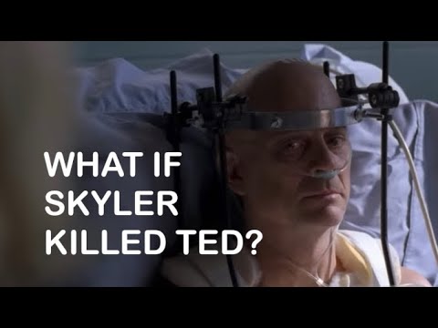 Breaking Bad | What if Skyler killed Ted Beneke?