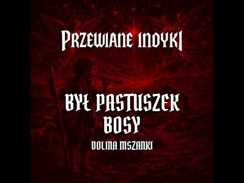 🔥 Dolina Mszanki - Był pastuszek bosy (cover) #rock #metal #heavymetal