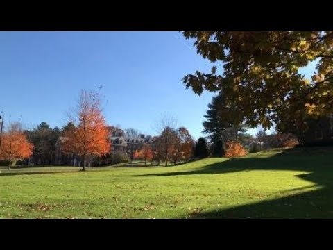 осень - 4 ноября 2018 - Wellesley Ave in Wellesley Hills, MA