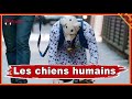 Le phénomène des chiens humains en Europe