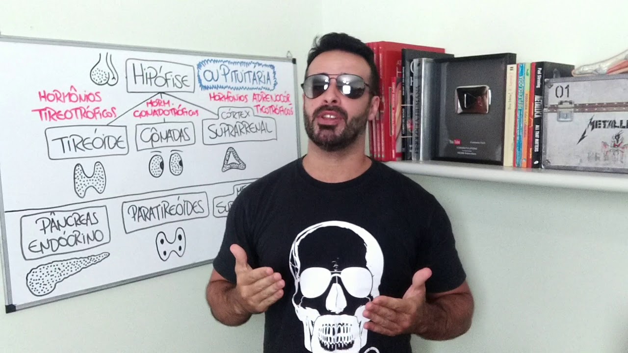 O que é uma glândula PITUITÁRIA | Minuto da Anatomia #37