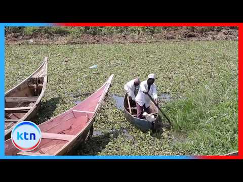 Budalangi yaingiwa na hofu ya El Niño, serikali yatakiwa kuharakisha hatua za kinga