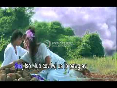 Kwm Lis paj txiv duab lub kua muag ntshav  001