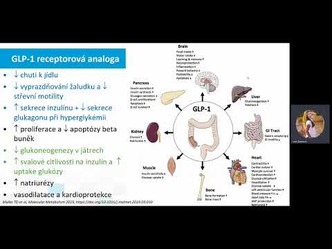 Neinzulínová antidiabetika v roce 2022