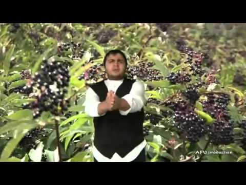 Dante a Sant'Angelo Le Fratte - Canto XXXIII (Paradiso)