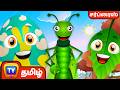 பச்சை நிறத்தை அதிசய முட்டைகள் உடன் க�
