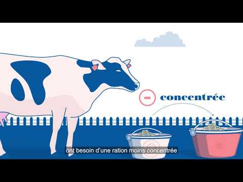, title : 'Quelle ration distribuer aux vaches taries ?'