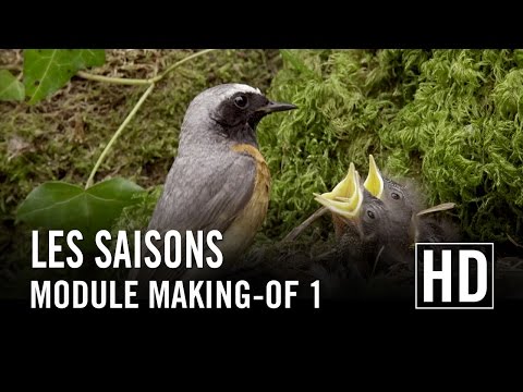 Les Saisons - Module Making-of 1