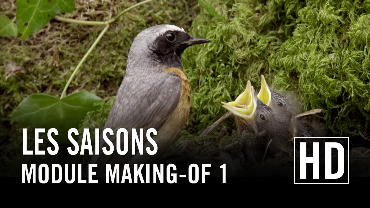 Miniature de la vidéo Les Saisons - Module Making-of 1 du film Les Saisons