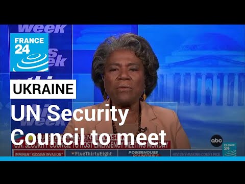 UN Security Council to meet over Ukraine as US Senate readies new sanctions • FRANCE 24 English