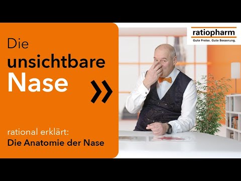 rational erklärt: Die Anatomie der Nase