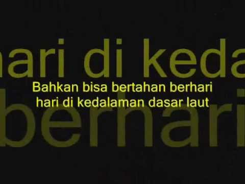 Bahwa obat make untuk potensi Madu dengan kacang dari impotensi
