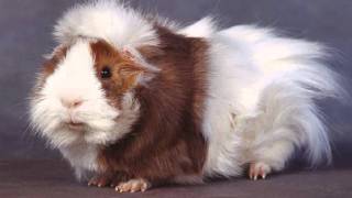 you put a smell on me - matthew dear