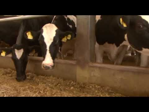 Može bolje ep. 31 NAJAVA