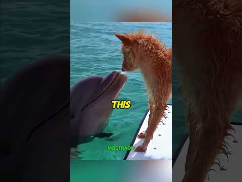 ¡Un Delfín Salvó a Este Perrito! 😭🐬 La Amistad Más Increíble del Océano ❤️ #wildliferescue #animals