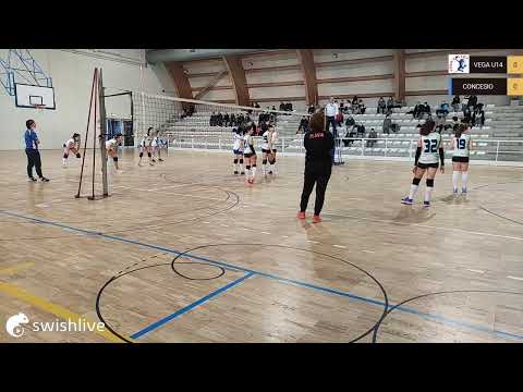 Basato in diretta sull'app Swish Live VEGA U14 VS CONCESIO