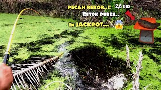 Download lagu EDAN..! BROKEN THE RECORD OF THE MOST LUCKY FISHERMAN FISHING THE MONSTER FISH HEIGHT 2.6 ounces|| mp3 Download lagu EDAN..! BROKEN THE RECORD OF THE MOST LUCKY FISHERMAN FISHING THE MONSTER FISH HEIGHT 2.6 ounces|| mp3
