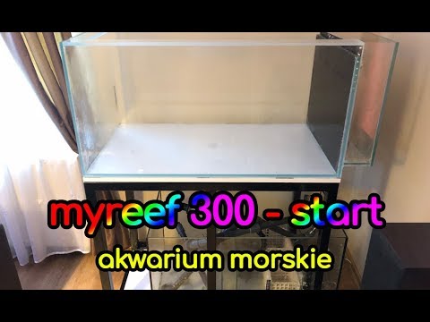 (100) MyReef 300 / Start - Akwarium morskie - Reef aquarium