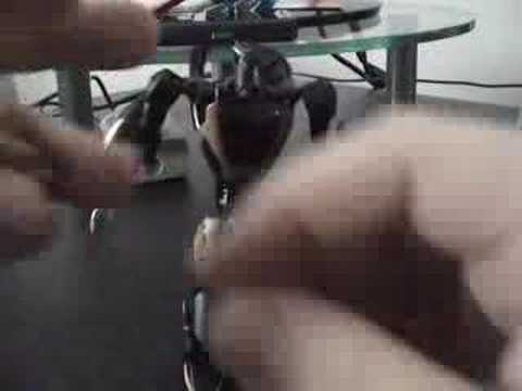 Vangelus Review 12 - Transformers Animated Deluxe Prowl