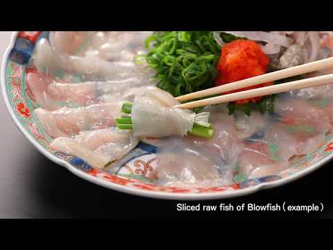 Bokai Hotel promotion MOVIE