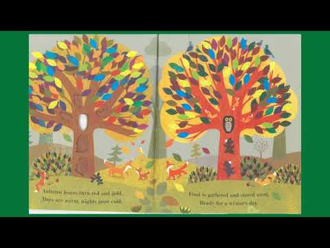 Tree (Seasons Come, Seasons Go) - Story