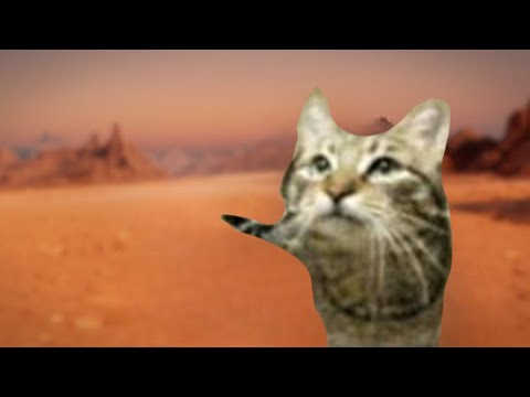 (MeowSynth) Cats on Mars