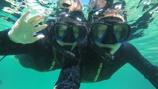 preview picture of video 'Swimming With Wild Dolphins In Perth Rockingham Australia #3'