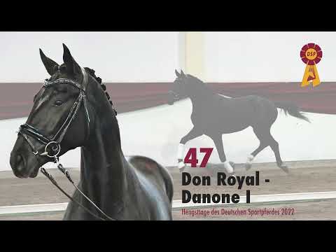 Lot 47: Hengst v. Don Royal/Danone
