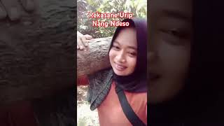 Download lagu Rekasane Urip Nang Ndeso mp3 Download lagu Rekasane Urip Nang Ndeso mp3