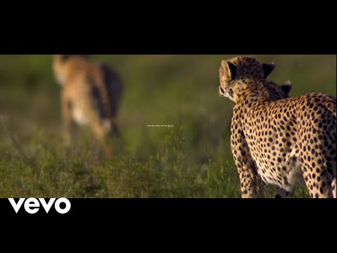 Mumford & Sons - Mumford & Sons and National Geographic Present: Forever