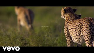 Mumford & Sons - Mumford & Sons and National Geographic Present: Forever