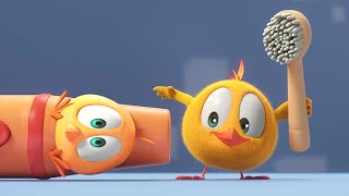 The Chicky Toothbrush | Where's Chicky? | Cartoon Collection in English for Kids | New episodes