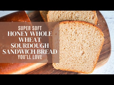 How to Make Super Soft Honey Wheat Sourdough Sandwich Bread (50% Whole Wheat)