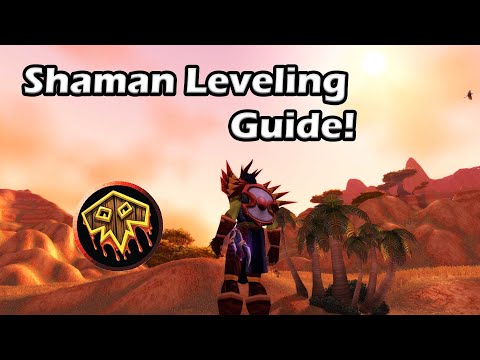Shaman World PvP While Leveling Guide⚡ - WoW Classic..Classic?