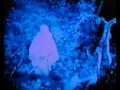 Forest - Graveyard 