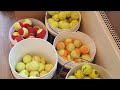Wat gebeurt er met de tennisballen?