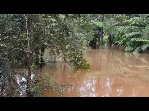 Biggest flood in 100 years, property under water with fruit trees