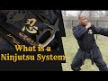 Complete Ninjutsu Training Program Details