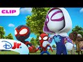 Marvel S Spidey And His Amazing Friends Black Cat Wants To Becomes A Tiger Disneyjr